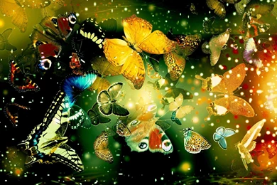 High Definition Colorful Wallpapers Download ~ Toptenpack.com