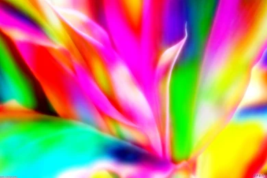 Gallery For Backgrounds Colorful Wallpapers