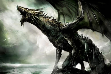 Gallery For Dragon Hd Wallpapers Download