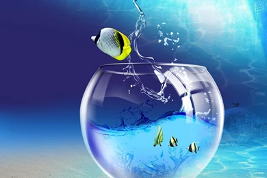 Gallery For Free Widescreen Desktop Fishing Wallpapers