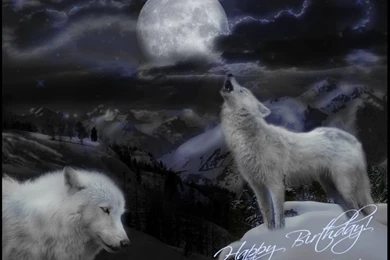 Wolves Wallpapers Desktop Desktop Background