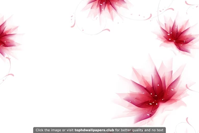 Best Floral 4K Or HD Wallpapers For Your PC, Mac Or Mobile Device