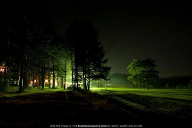 Night Forest 4K Or HD Wallpapers For Your PC, Mac Or Mobile Device