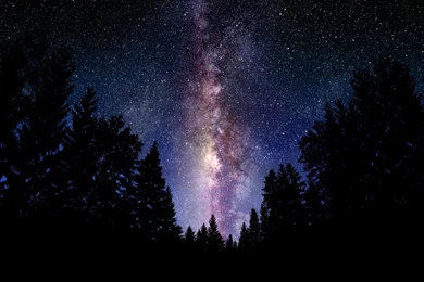 Wallpapers Milky Way, Sky, Night, Stars, Tree, Forest Desktop ...
