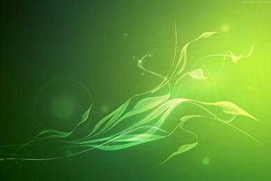 Green Abstract Wallpapers HD HD Images New