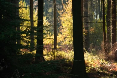 Desktop Wallpapers 1024X768 Wallpapers 23436