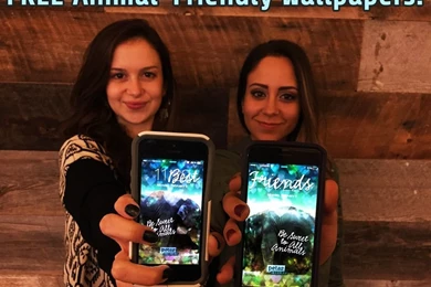 FREE Valentine's Day Phone Backgrounds