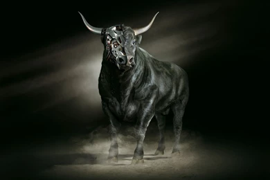 Black Robot Bull Wallpapers