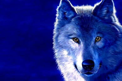 40 Cool Free Desktop Backgrounds