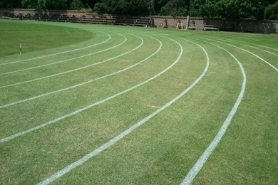 Cross Country Express: I Love It!