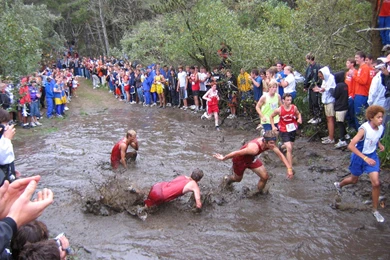 Wikipedia:Featured Picture Candidates/March 2006 Wikipedia, The ...