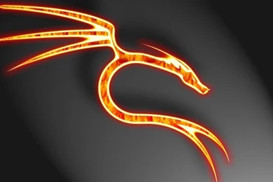 Wallpapers Flames Best Top Desktop Hd Dragon 1024x768