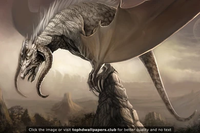 Page 678 Of Best Царапины 4K Or HD Wallpapers