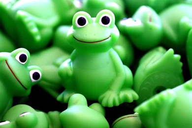 Creative Frog Green Desktop Backgrounds