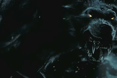 300 Wallpapers 02 By Lcf beubob On DeviantArt