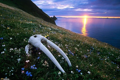 40989_1600x1200 wallpaper cb1317991120.jpg