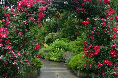 Gallery For Garden Desktop Wallpapers