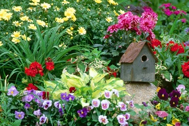 Gallery For Desktop Wallpapers Of Flower Gardens