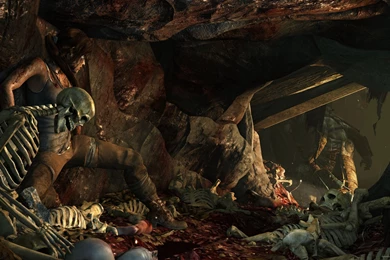 Download 2560x1440 Tomb Raider Gods And Monsters Wallpapers