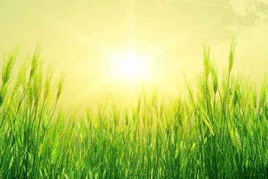 Summertime 1920x1200 Wallpapers, 1920x1200 Wallpapers & Pictures ...