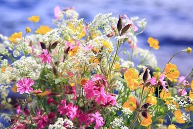 Wallpaper: Summertime By Closer to heaven On DeviantArt