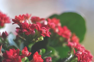 Wallpapers Tagged With BEAUTIFUL