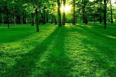 Summer Green Nature Wallpapers 1600 1200 Hd Desktop Wallpapers ...