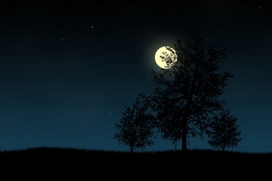 Cool Wallpapers: Hd Wallpapers 1080p For Mac