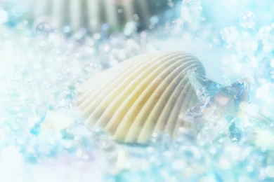 50 Shiny Beautiful Wallpapers HD 1920 X 1200 Www.HQPictures.tk ...