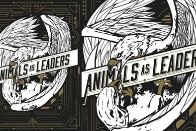 Blaine Levy Graphics Designer, Coder, Illustrator