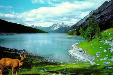 Gallery For Desktop Mountain Wallpapers