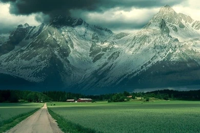 Website Search — MFS Technologies Ltd