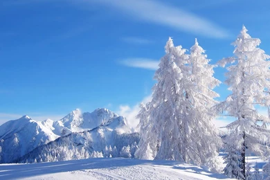 Winter Backgrounds For Desktop