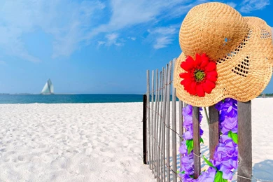 Gallery For Hot Summer Wallpapers