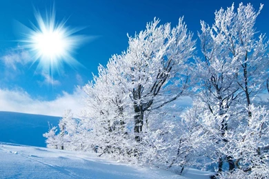 Gallery For Hd Wallpapers Winter Season