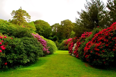 Flower Garden Wallpapers