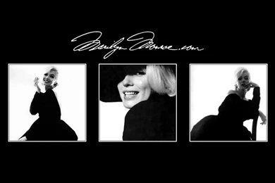 Marilyn Monroe Official Walpaper 8 1024 Hd Wallpapers (