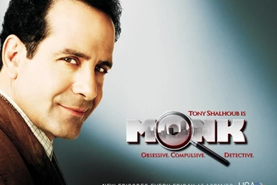 Monk_1024x768 Monk Wallpapers (560391) Fanpop