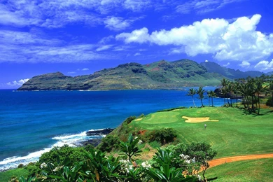 Gallery For Free Desktop Wallpapers Of Hawaii