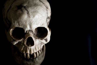 Dark Skull Evil Horror Skulls Art Artwork Skeleton D Wallpapers ...