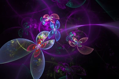 Butterfly FREE HD Wallpapers By Luisbc On DeviantArt