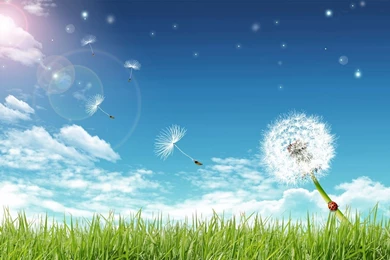 Best Desktop HD Wallpapers PC Desktop Wallpapers