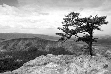 Black And White HD Wallpapers Pretty L43