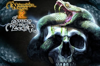 Skull Wallpapers Free Download 32833 HD Wallpapers