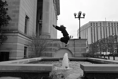 The Art Of Movement Belmont Feed