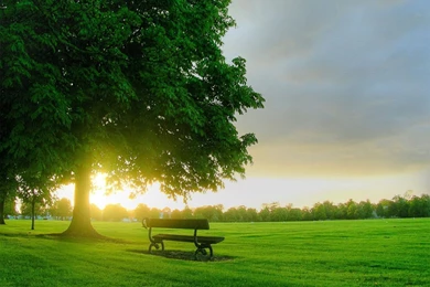 Spring Field Wallpapers 2 Crazy Frankenstein