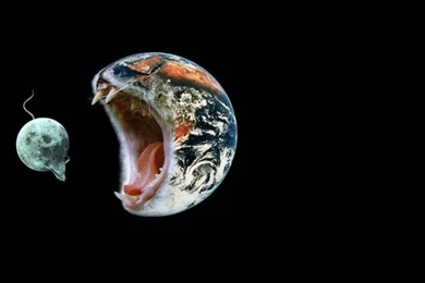 Funny Setelite Hd Wallpapers Wallpaperss HD