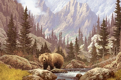 Brown Bear In The Picture Wallpapers And Images Wallpapers ...