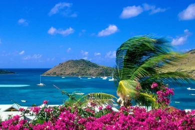 Free Hd Beach Wallpapers ~ Toptenpack.com