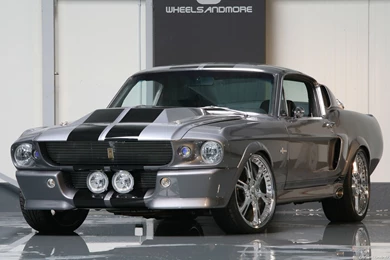 Gallery For Eleanor Shelby Wallpapers